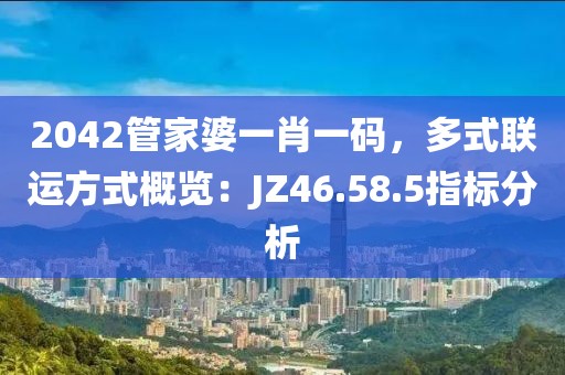 2042管家婆一肖一碼，多式聯(lián)運方式概覽：JZ46.58.5指標分析
