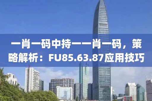 一肖一碼中持一一肖一碼，策略解析：FU85.63.87應(yīng)用技巧