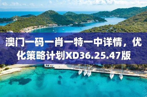 澳門(mén)一碼一肖一特一中詳情，優(yōu)化策略計(jì)劃XD36.25.47版