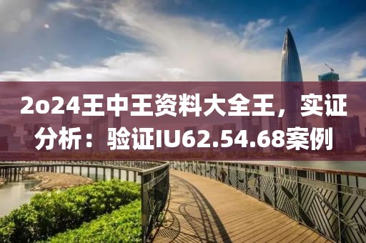 2o24王中王資料大全王，實(shí)證分析：驗(yàn)證IU62.54.68案例