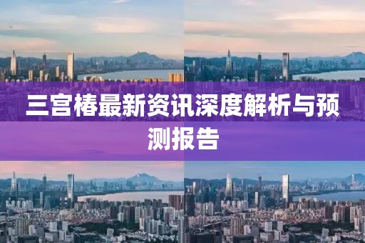 三宮椿最新資訊深度解析與預測報告