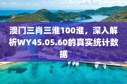 澳門三肖三淮100淮，深入解析WY45.05.60的真實統(tǒng)計數(shù)據(jù)
