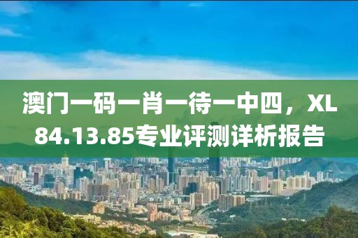 澳門一碼一肖一待一中四，XL84.13.85專業(yè)評測詳析報告
