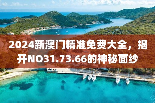 2024新澳門精準(zhǔn)免費(fèi)大全，揭開NO31.73.66的神秘面紗