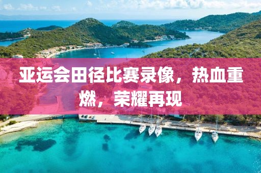 亞運會田徑比賽錄像，熱血重燃，榮耀再現