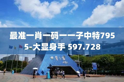 最準一肖一碼一一子中特7955-大顯身手 597.728