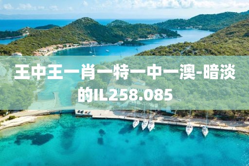 王中王一肖一特一中一澳-暗淡的IL258.085