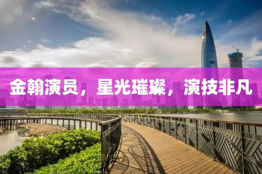 金翰演員，星光璀璨，演技非凡