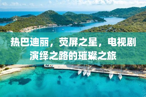 熱巴迪麗，熒屏之星，電視劇演繹之路的璀璨之旅