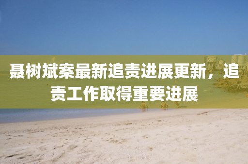 聶樹斌案最新追責進展更新，追責工作取得重要進展