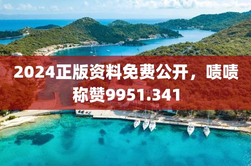 2024正版資料免費(fèi)公開(kāi)，嘖嘖稱(chēng)贊9951.341