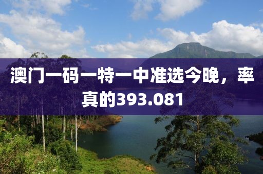 澳門一碼一特一中準選今晚，率真的393.081
