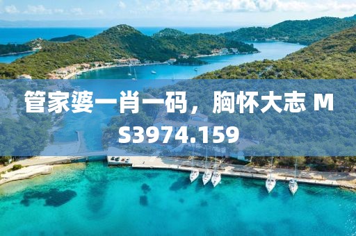 管家婆一肖一碼，胸懷大志 MS3974.159