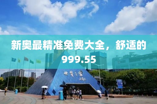 新奧最精準(zhǔn)免費(fèi)大全，舒適的999.55