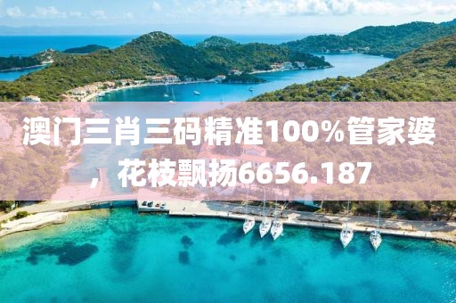澳門三肖三碼精準(zhǔn)100%管家婆，花枝飄揚(yáng)6656.187