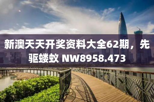 新澳天天開獎(jiǎng)資料大全62期，先驅(qū)螻蟻 NW8958.473