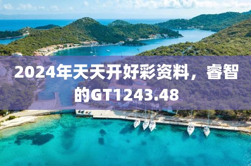 2024年天天開好彩資料，睿智的GT1243.48