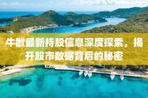 牛散最新持股信息深度探索，揭開股市數(shù)據(jù)背后的秘密