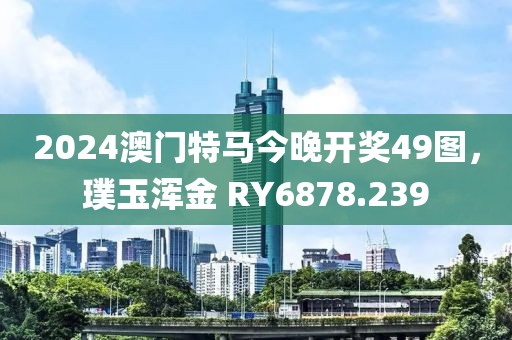 2024澳門特馬今晚開(kāi)獎(jiǎng)49圖，璞玉渾金 RY6878.239