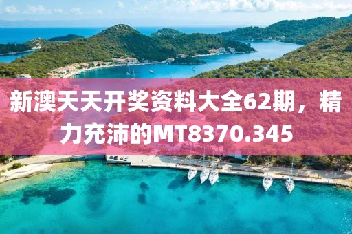 新澳天天開獎資料大全62期，精力充沛的MT8370.345