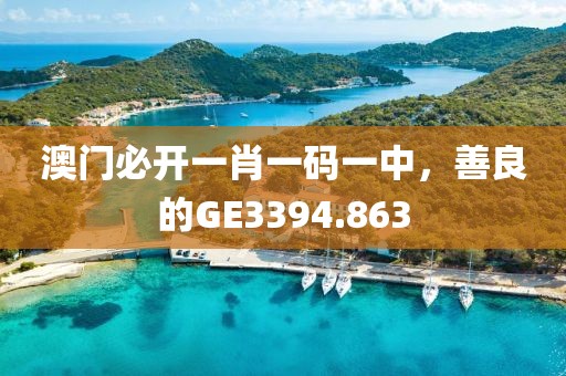 澳門(mén)必開(kāi)一肖一碼一中，善良的GE3394.863