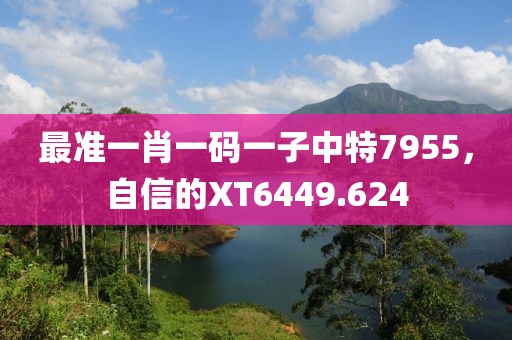 最準(zhǔn)一肖一碼一子中特7955，自信的XT6449.624