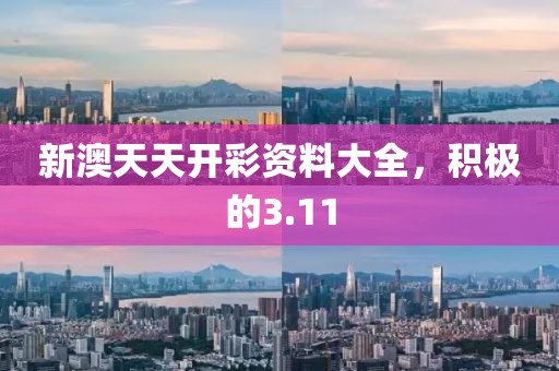 新澳天天開彩資料大全，積極的3.11