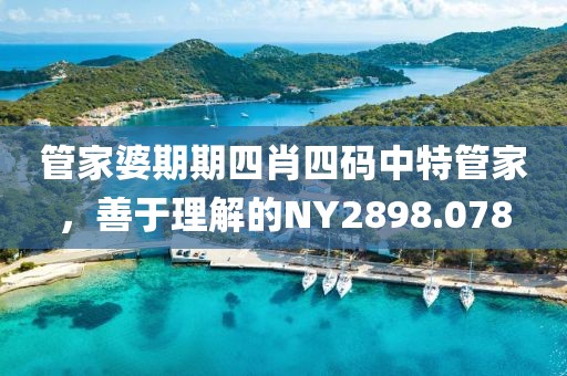 管家婆期期四肖四碼中特管家，善于理解的NY2898.078
