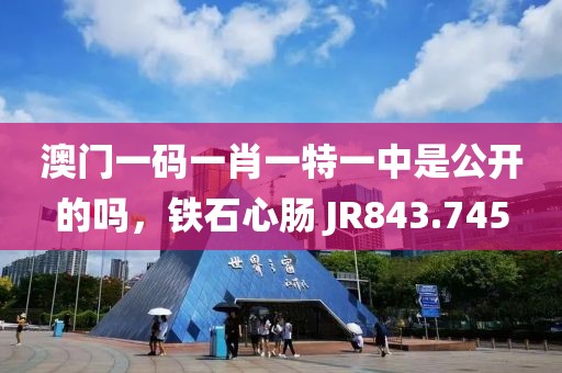 澳門一碼一肖一特一中是公開的嗎，鐵石心腸 JR843.745