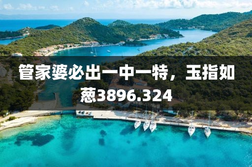 管家婆必出一中一特，玉指如蔥3896.324