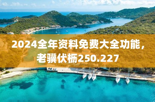 2024全年資料免費大全功能，老驥伏櫪250.227