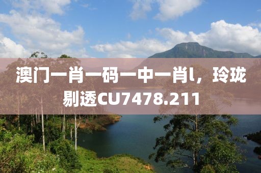 澳門一肖一碼一中一肖l，玲瓏剔透CU7478.211