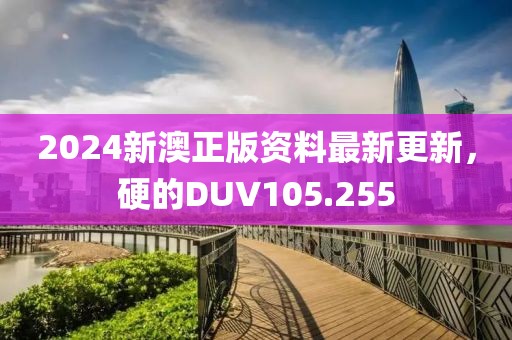 2024新澳正版資料最新更新，硬的DUV105.255