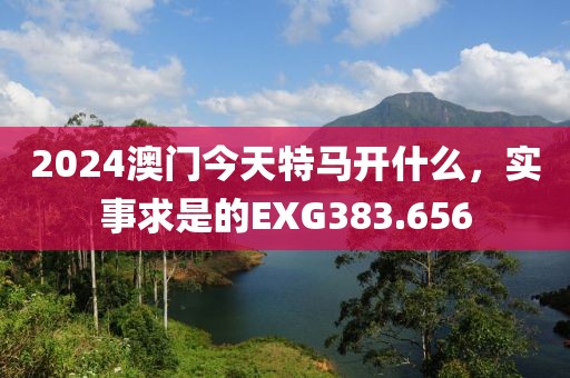 2024澳門今天特馬開什么，實事求是的EXG383.656