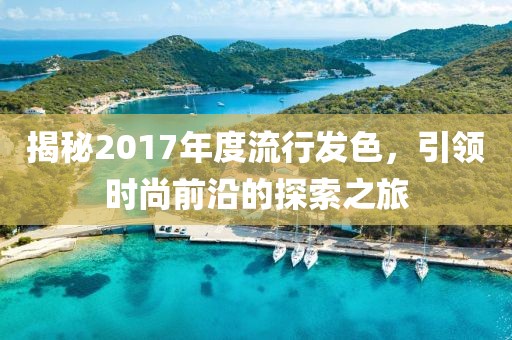 揭秘2017年度流行發(fā)色，引領(lǐng)時尚前沿的探索之旅