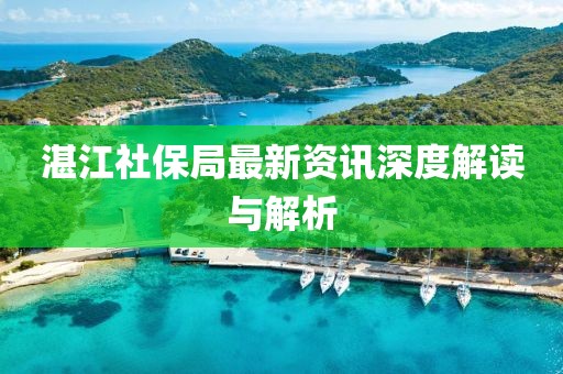 湛江社保局最新資訊深度解讀與解析