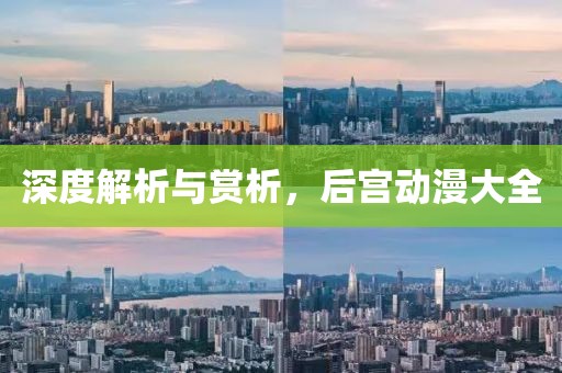 深度解析與賞析，后宮動(dòng)漫大全