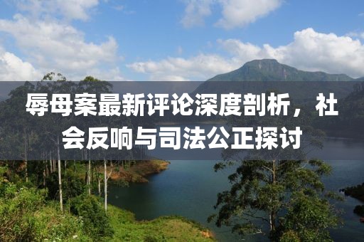 辱母案最新評論深度剖析，社會反響與司法公正探討
