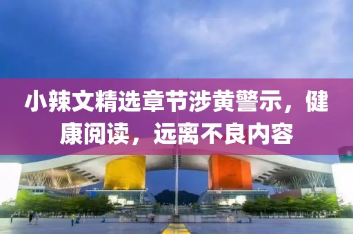 小辣文精選章節(jié)涉黃警示，健康閱讀，遠離不良內容