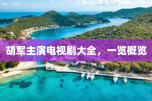 胡軍主演電視劇大全，一覽概覽