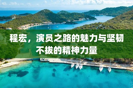 程宏，演員之路的魅力與堅(jiān)韌不拔的精神力量