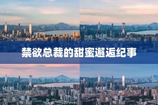 禁欲總裁的甜蜜邂逅紀(jì)事