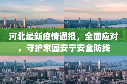 河北最新疫情通報(bào)，全面應(yīng)對(duì)，守護(hù)家園安寧安全防線(xiàn)