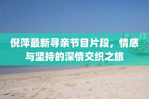 倪萍最新尋親節(jié)目片段，情感與堅(jiān)持的深情交織之旅