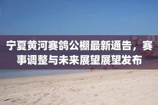 寧夏黃河賽鴿公棚最新通告，賽事調(diào)整與未來展望展望發(fā)布