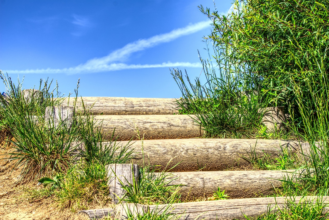 朱松瑋近期動(dòng)態(tài)揭秘，籃球賽場(chǎng)上的新星崛起