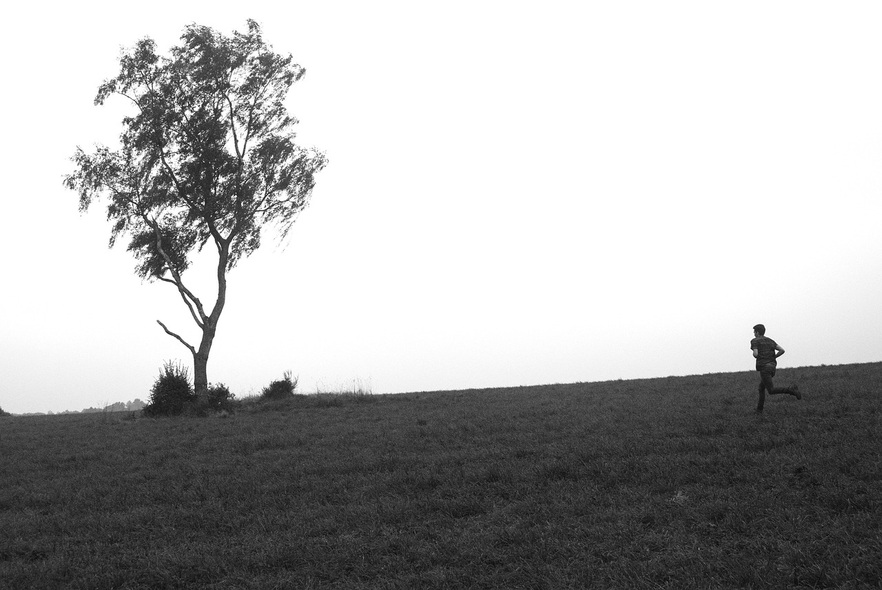 薊縣狐貍峪最新動(dòng)態(tài)揭秘，神秘土地新面紗下的探索發(fā)現(xiàn)