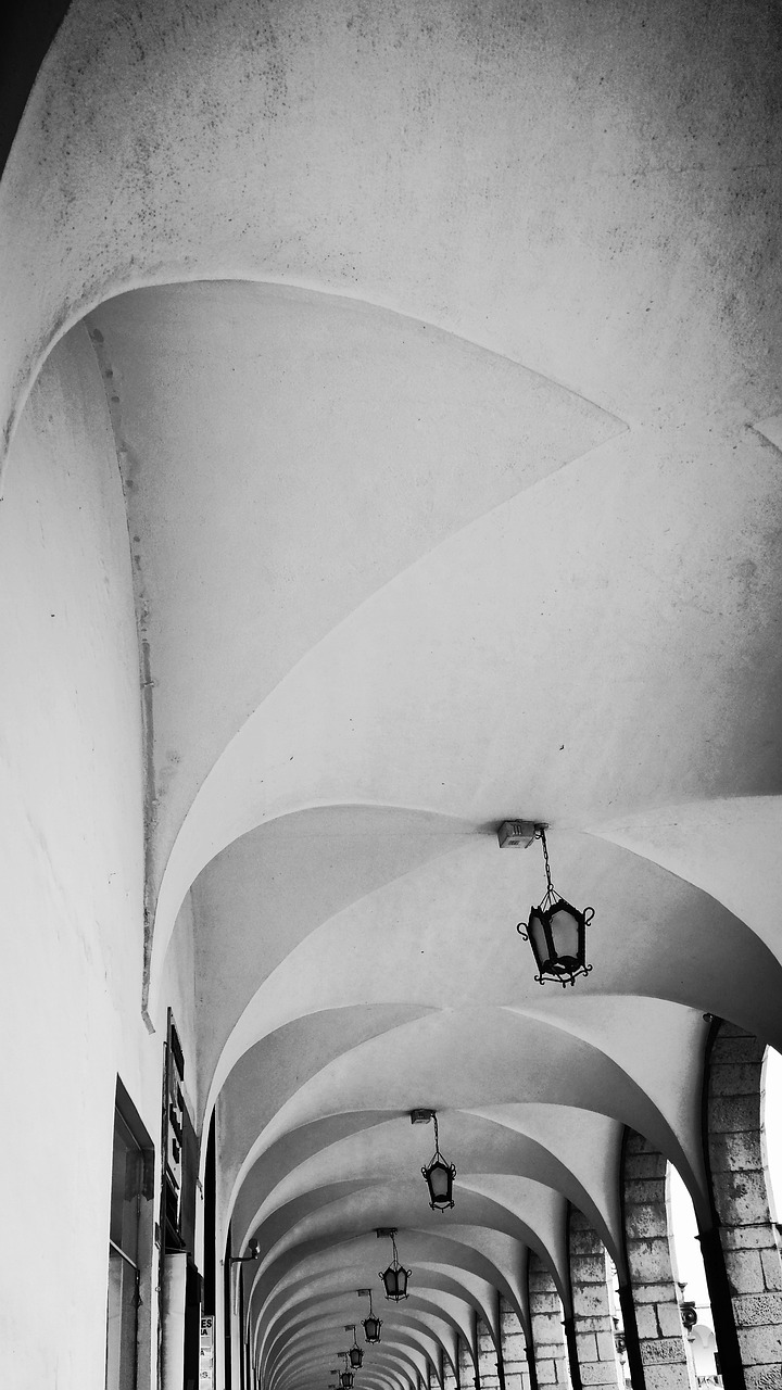 龍泉市最新疫情動態(tài)與影響概述