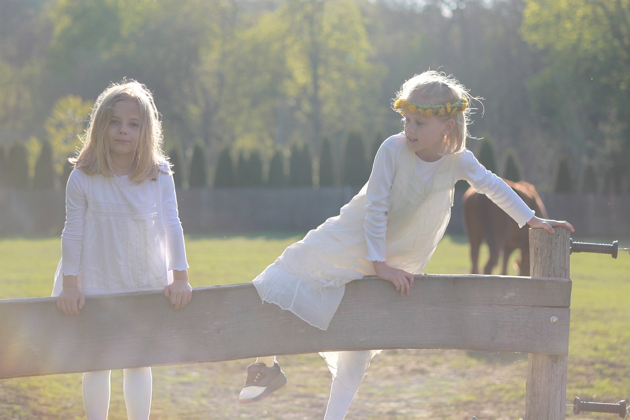 跨文化視角下的情感交織，韓國電影中女友母親的角色探究