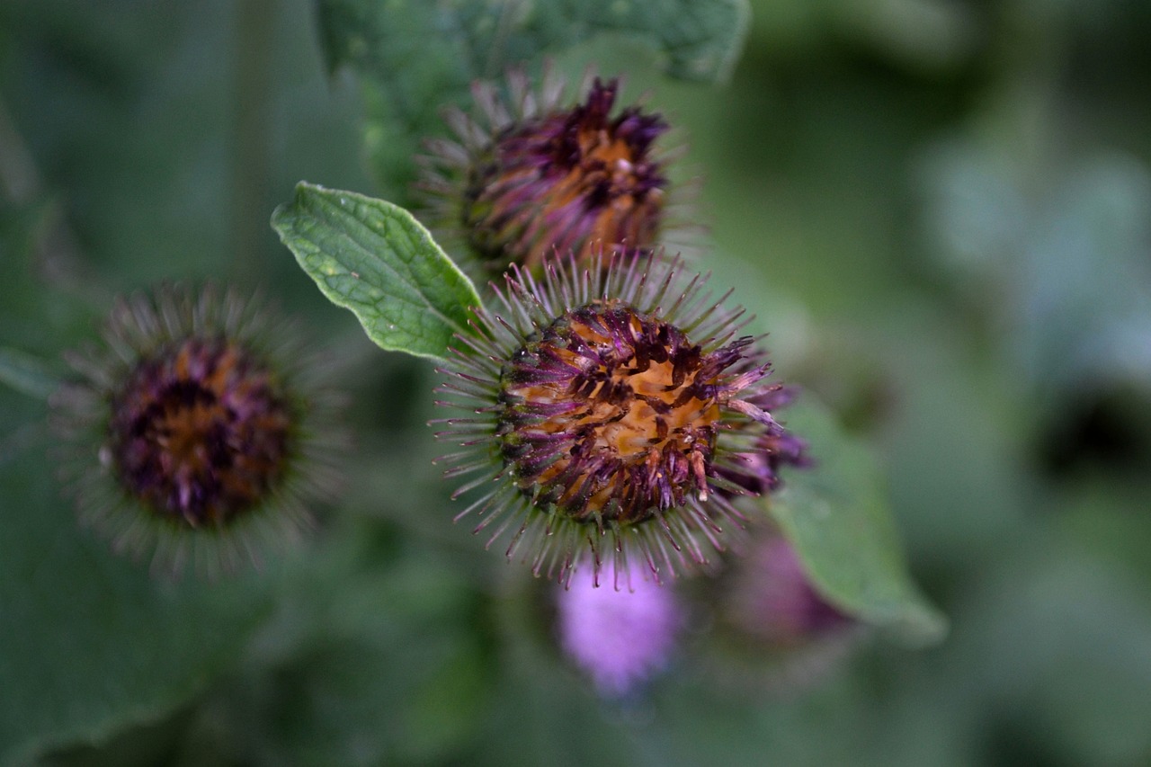 恒口示范區(qū)最新資訊概覽，動(dòng)態(tài)更新與熱點(diǎn)解讀